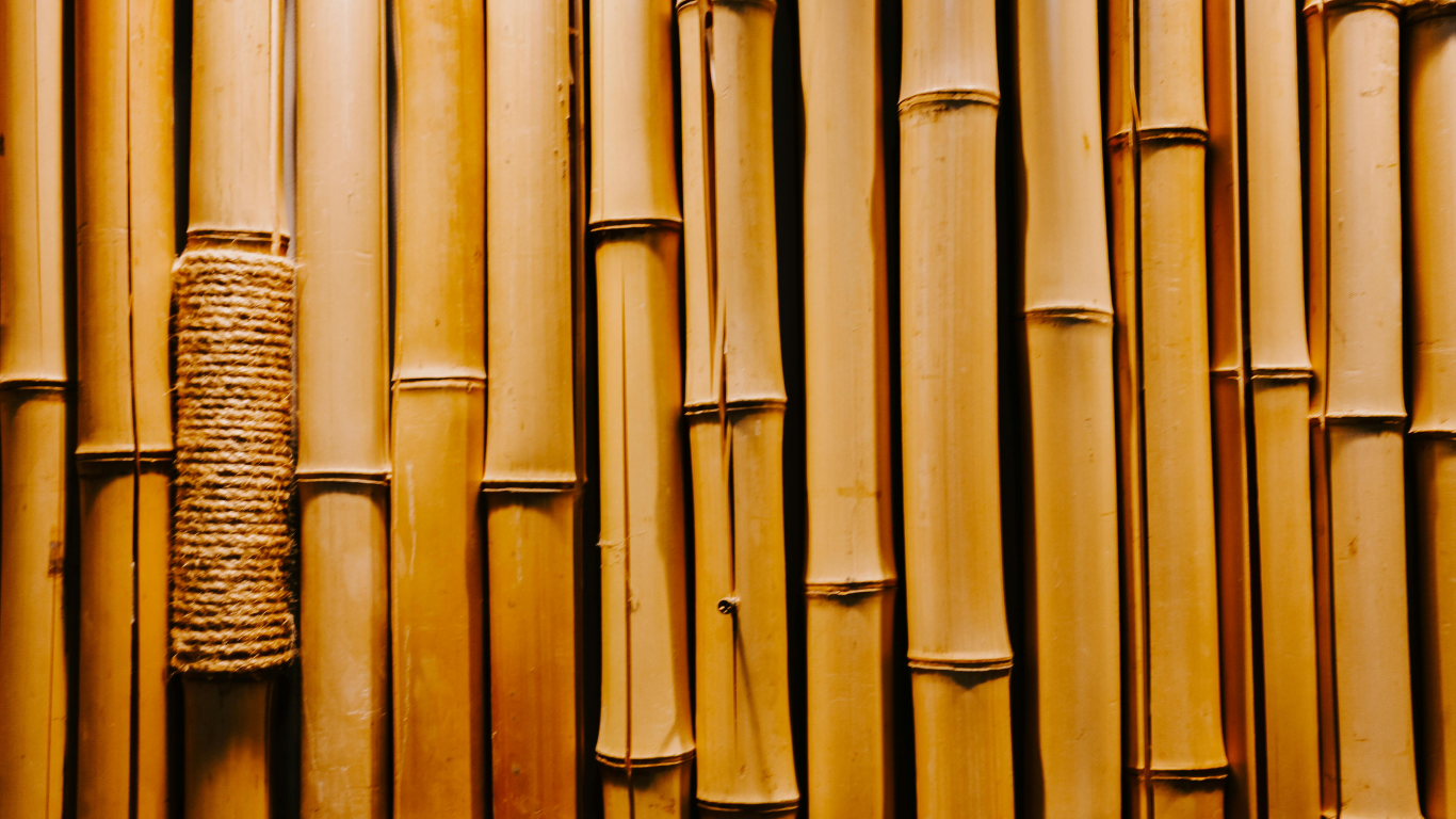 Bamboo Organizers